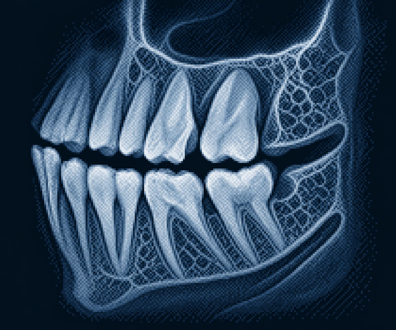 Tooth detail